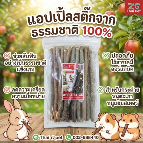 ZG Apple Stick - ไม้แอปเปิ้ล ลับฟันสัตว์สำหรับฟันแทะ 100g (312337)