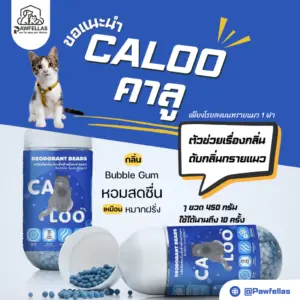 ที่ดับกลิ่น 326011 CALOO Deodorant Beads - เม็ดบีดส์ที่ดับกลิ่นทรายแมว กลิ่นบับเบิ้ล กัม 450g