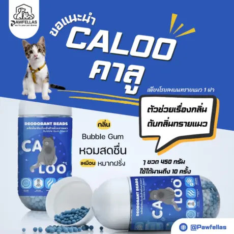 CALOO Deodorant Beads - เม็ดบีดส์ที่ดับกลิ่นทรายแมว กลิ่นบับเบิ้ล กัม 450g
