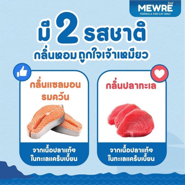 17478388373662 MEWRE FORMULA CAT DRINK - น้ำดื่มสำหรับแมว รสแซลมอนรมควัน 500ml (340514)