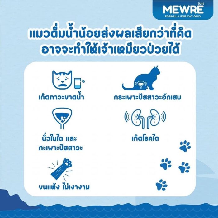 17478423289935 MEWRE FORMULA CAT DRINK - น้ำดื่มสำหรับแมว รสแซลมอนรมควัน 500ml (340514)
