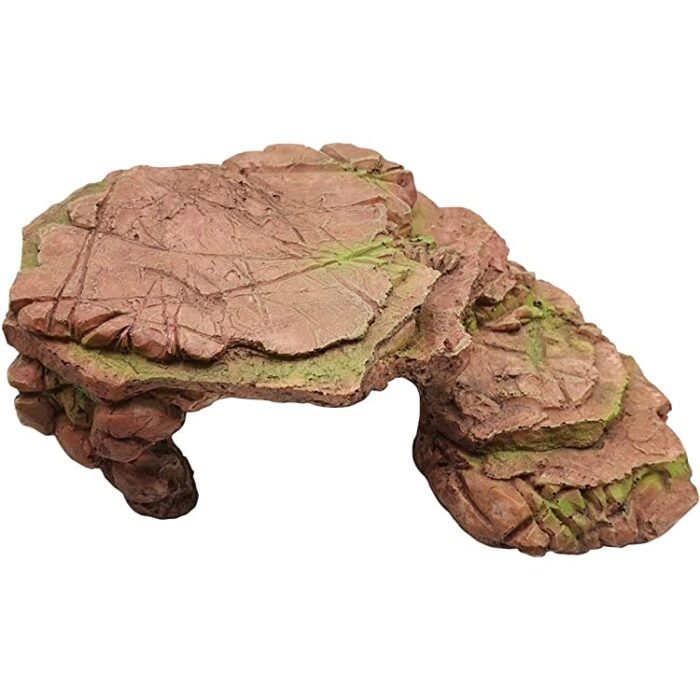 พบคำแนะนำในการเลือกกรงนกที่สมบูรณ์แบบ 10 Resin Stone Basking Spot - แท่นหินเรซิ่นสำหรับอาบแดด (24x15.5x7cm) (338547)