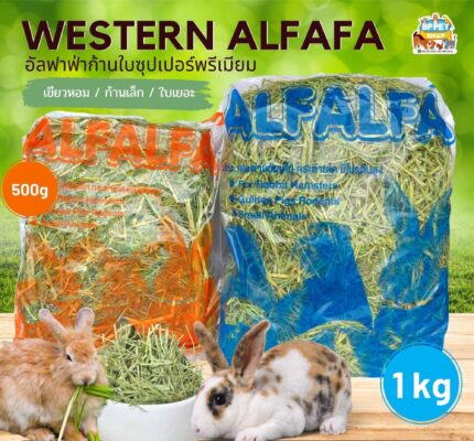 TBD Western Alfalfa Premium - หญ้าอัลฟาฟ่าก้านใบพรีเมี่ยม 1kg (344641)