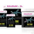 EXO TERRA Calcium + D3