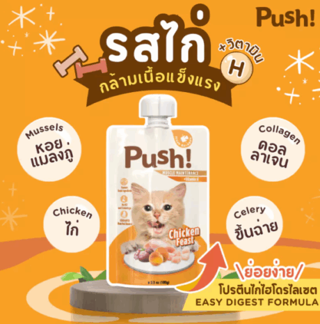Push Pouch Chicken Feast - อาหารแมว เนื้อมูสไก่ 100g