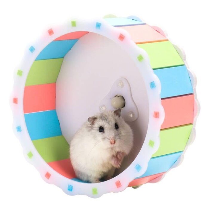 Zoog Hamster Running Wheel - วงล้อวิ่งสำหรับหนูแฮมเตอร์ 19cm (336134)