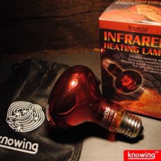 Knowing Infrared