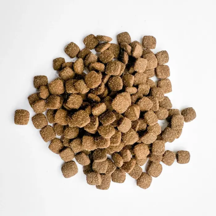 th-11134207-7ras8-m1si8c9pvzsn34 Petheria Massive Impact - อาหารแมวแบบเม็ดสูตรไก่เสริมสร้างกล้ามเนื้อ 1.5kg (339016)