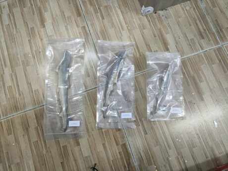 พบคำแนะนำในการเลือกกรงนกที่สมบูรณ์แบบ 8 Dried Shark