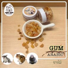 Ham Ham Bakery Tree Sap - ขนมสัตว์เลี้ยง ยางไม้ 40g (438451)
