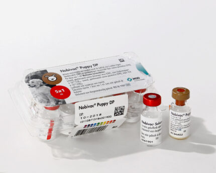 TBD Nobivac Puppy DP Vaccines -วัคซีนเริ่มต้นกระตุ้นภูมิคุ้มกันสำหรับลูกสุนัข (1dose)(369544)