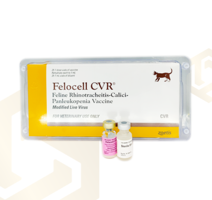(ใช้ภายในร้าน) Zoetis CVR : Felocell Cat Distemper -วัคซีนป้องกันโรคไข้หัดสำหรับแมว (1dose)(369556)