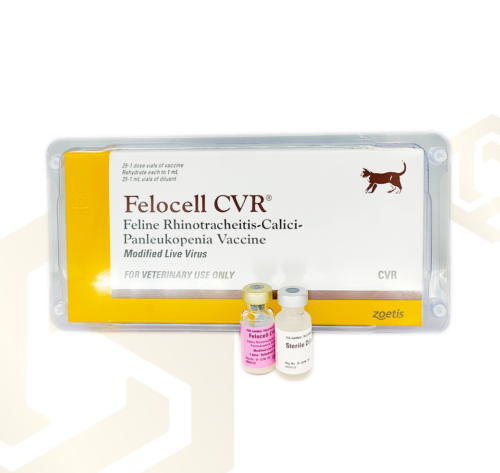 (ใช้ภายในร้าน) Zoetis CVR : Felocell Cat Distemper -วัคซีนป้องกันโรคไข้หัดสำหรับแมว (1dose)(369556)