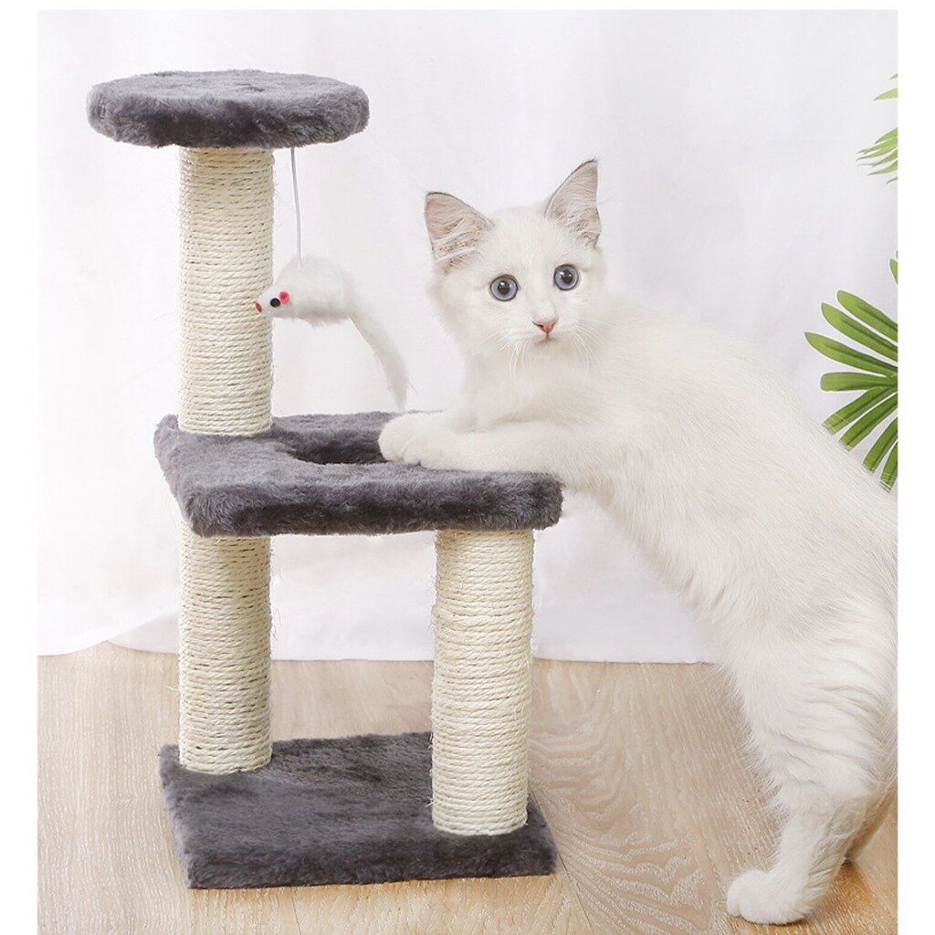 พบคำแนะนำในการเลือกกรงนกที่สมบูรณ์แบบ 8 Pet Empire Cat Toy - คอนโดแมวพร้อมเสาลับเล็บขนาดเล็ก (370514)
