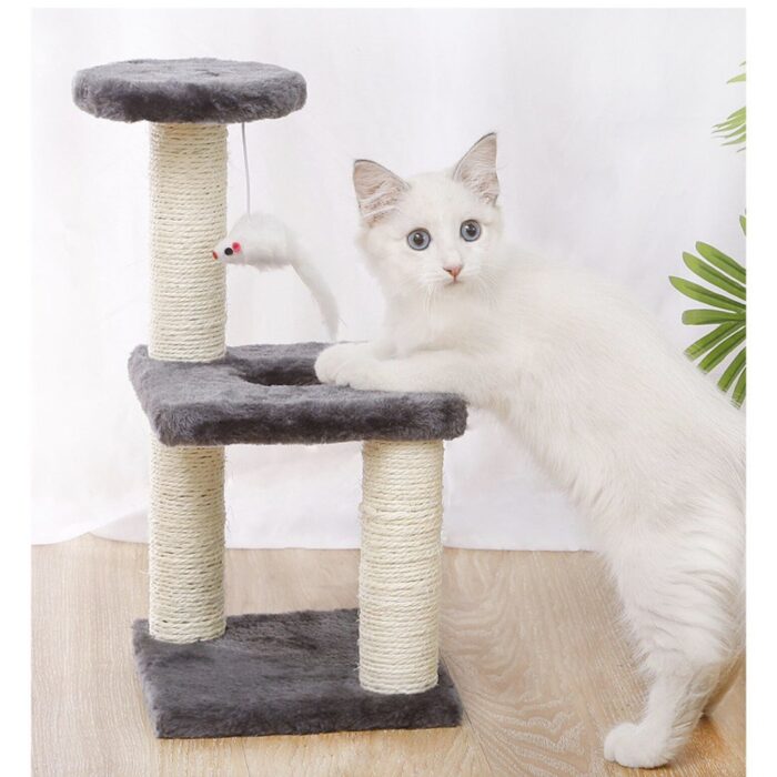Pet Empire Cat Toy - คอนโดแมวพร้อมเสาลับเล็บขนาดเล็ก (370514)