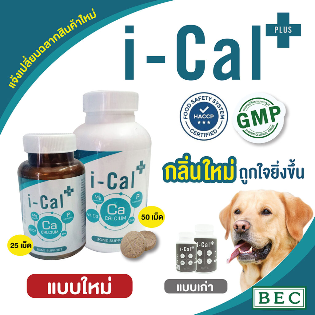 พบคำแนะนำในการเลือกกรงนกที่สมบูรณ์แบบ 6 I Cal Plus+ Bone Support - อาหารเสริมแคลเซียมบำรุงกระดูกและข้อต่อสำหรับสัตว์เลี้ยง (25tablets) (375274)