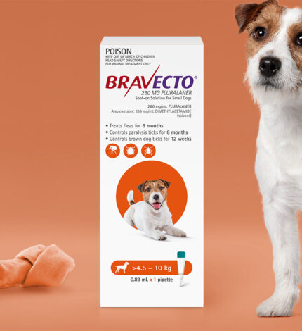 Bravecto Chewable For Dogs 250mg