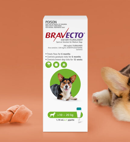Bravecto Chewable For Dogs 250mg