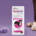 Bravecto Chewable For Dogs 1400mg 40-56kg – ยาเม็ดแบบเคี้ยว รักษาเห็บหมัด สำหรับสุนัขพันธ์ุใหญ่ 40-56 กก. (1กล่อง บรรจุ1เม็ด) (376533)