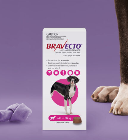 Bravecto Chewable For Dogs 1400mg