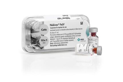 TBD Nobivac FeLV For Cats Vaccines -วัคซีนป้องกันมะเร็งเม็ดเลือดขาว ลูคิเมียแมว (1dose)(376540)