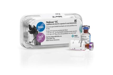 TBD Nobivac KC For Dogs Vaccines -วัคซีนเสริมสร้างภูิคุ้มกันและป้องกันโรคติดเชื้อในทางเดินหายใจสำหรับสุนัข (1dose)(376544)