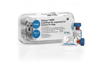 TBD Nobivac DHPPI + Diluent For Dogs Vaccines - วัคซีนเสริมสร้างภูิคุ้มกันจากพิษสุนัขบ้าและป้องกันโรคไวรัสตับอักเสบสำหรับสุนัข (1dose)(376551)