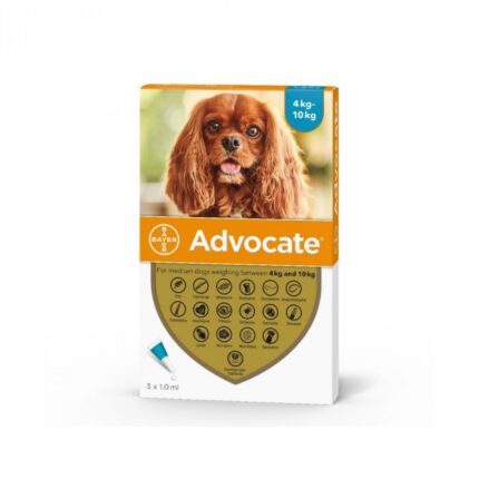 Advocate For Medium Dogs