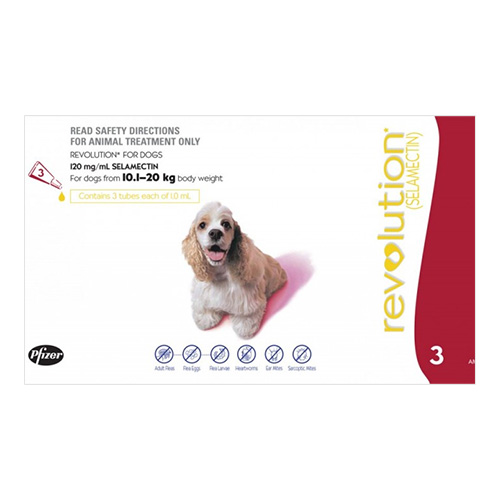 Revolution For Dogs 10-20kg