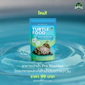 อาหารเต่าน้ำ โปรตีนและแคลเซียมสูง Pro Reptiles Turtle Food Basic Nutrition