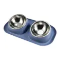 Double Pet Bowl Anti-Slip & Elevated + Stainless Steel