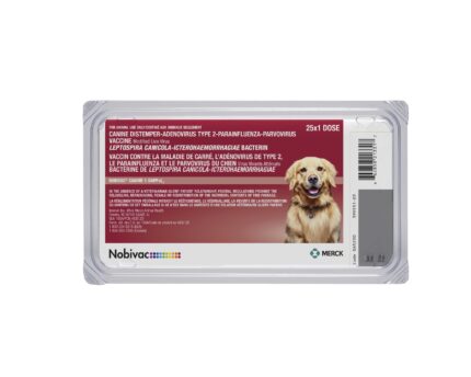 TBD Nobivac DAPPvL2 Dog 5 Vaccines -วัคซีนกระตุ้นภูมิคุ้มกันสำหรับสุนัข 5 โรค (1dose)(369530)