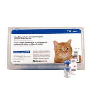 TBD Nobivac HCPCH Cat 4 Vaccines -วัคซีนกระตุ้นภูมิคุ้มกันสำหรับแมว 4 โรค (1dose)(369508)