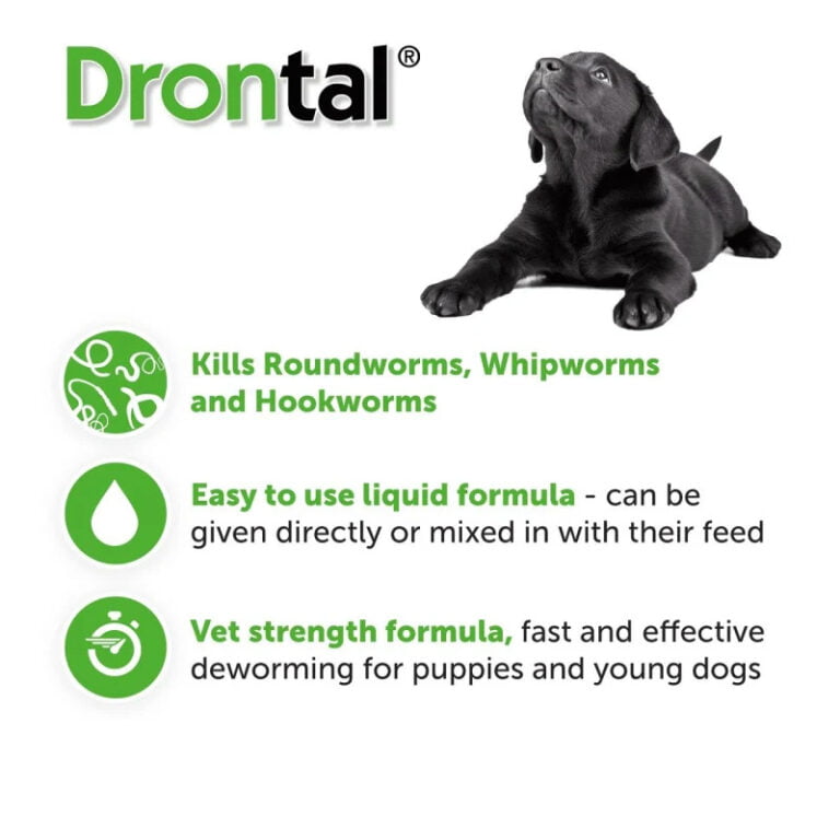 drontal-puppy-info-2