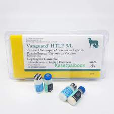 TBD Vanguard HTLP/5L Vaccines - วัคซีนรวมสำหรับสุนัข 5 โรค (1dose)(387805)