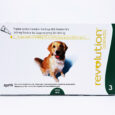 Revolution For Dogs 20-40kg