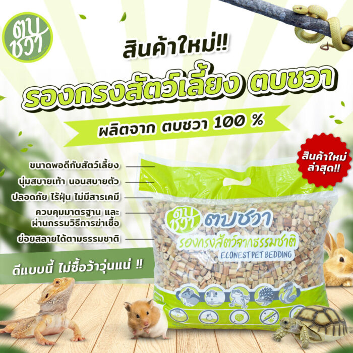 ผักตบชวา 1kg ผักตบชวา 1kg