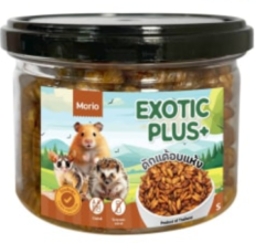 Morio Dehydrator Dried Pupa - ดักแด้อบแห้ง 40g