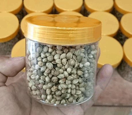 Hemp Seed - อาหารนก เมล็ดฮวยมั๊ว กระปุก 100g (แบ่งขาย)