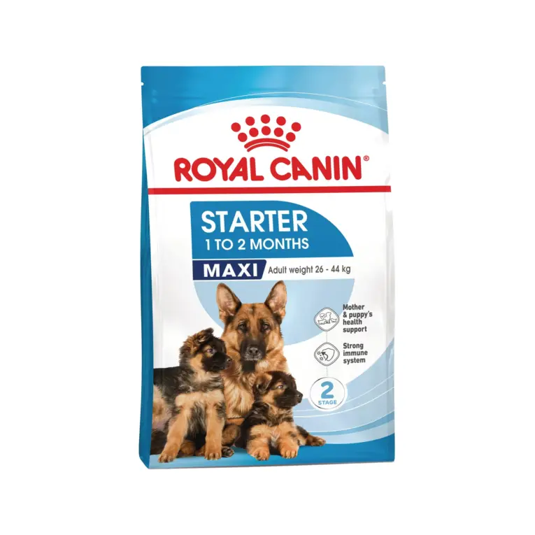 royal canin maxi starter_11zon