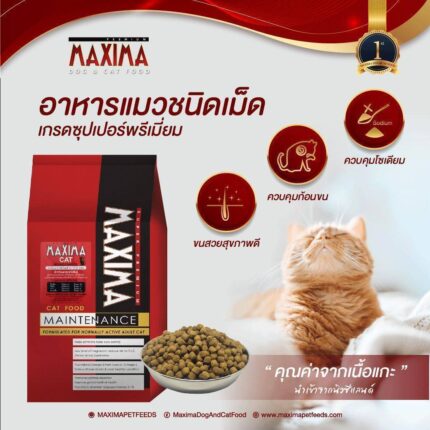 MAXIMA CAT MAINTENANCE 30% - แม็กซีม่า อาหารเม็ดสำหรับแมว 15kg (399628)