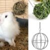 Hay_Holder Metal Hay Holder With Chain big size - ลูกบอลเหล็กใส่หญ้าใหญ่ (Ø10cm)(11685)