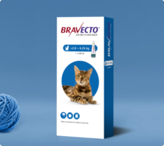 Bravecto Plus Spot-On For Cat 250mg 2.8-6.25kg