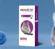 Bravecto Plus Spot-On For Cat 500mg 6.25-12.5kg