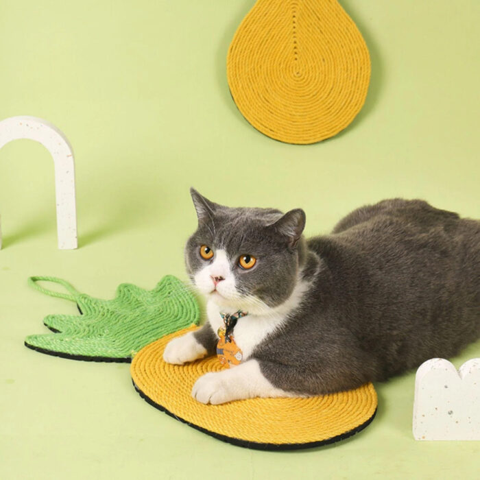 พบคำแนะนำในการเลือกกรงนกที่สมบูรณ์แบบ 10 SOOS Cat Scratcher Mat - แผ่นลับเล็บแมวแบบแผ่นเรียบ (407832)