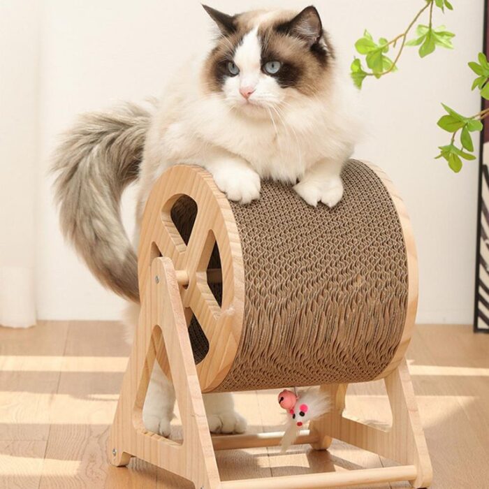 พบคำแนะนำในการเลือกกรงนกที่สมบูรณ์แบบ 10 KUMA Scratch Wheel- วงล้อลับเล็บสำหรับแมว (26x26x34cm) (410145)