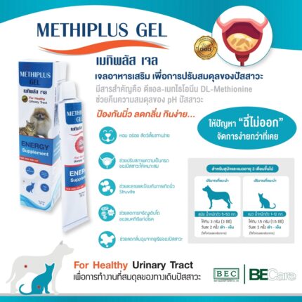 Methiplus