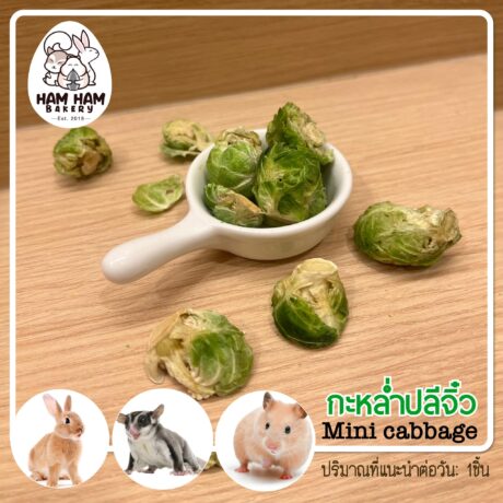 พบคำแนะนำในการเลือกกรงนกที่สมบูรณ์แบบ 7 Ham Ham Bakery Mini Cabbage - กะหล่ำปลีจิ๋ว 4ชิ้น (412067)