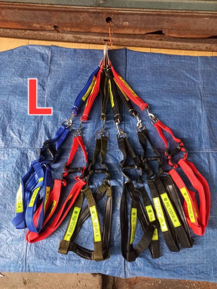 พบคำแนะนำในการเลือกกรงนกที่สมบูรณ์แบบ 7 Harness Set Police Dog Size L - สายรัดอกสุนัขตำรวจขนาดใหญ่ (403617)