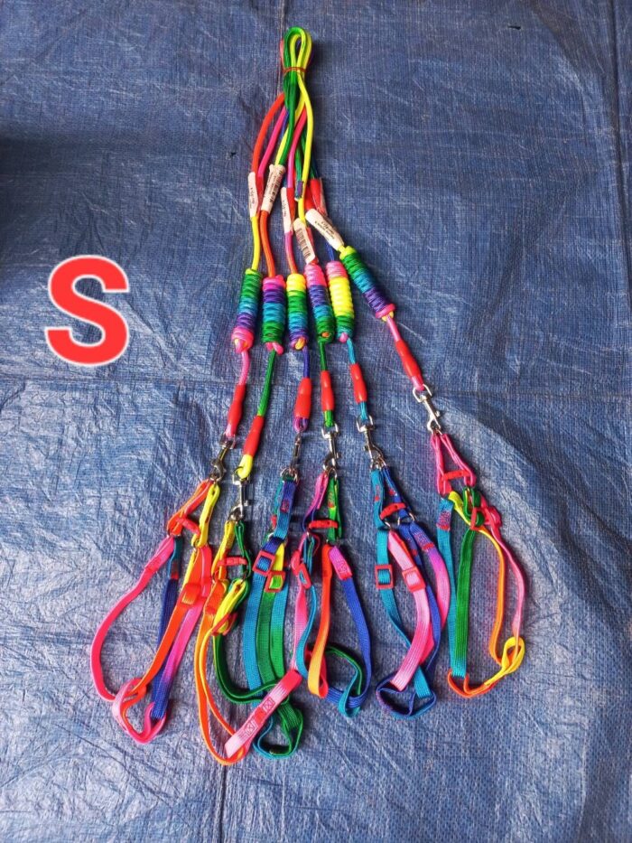 พบคำแนะนำในการเลือกกรงนกที่สมบูรณ์แบบ 7 SOOS Harness Rainbow Size S - สายรัดอกสายรุ้งขนาดเล็ก (403647)